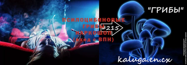 ПСИЛОЦИБИНОВЫЕ ГРИБЫ Новозыбков