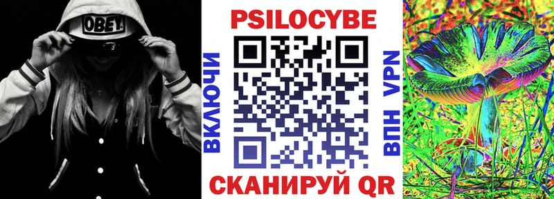 как найти закладки  blacksprut как войти  Галлюциногенные грибы Cubensis  Нижний Новгород 