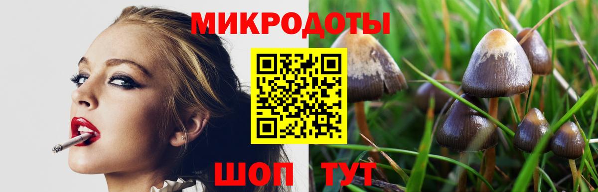 Нижний Новгород  Галлюциногенные грибы мухоморы  Вход с VPN  Галлюциногенные грибы мухоморы 