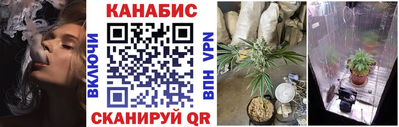 где продают   площадка как зайти  Бошки Шишки SATIVA & INDICA  Нижний Новгород 